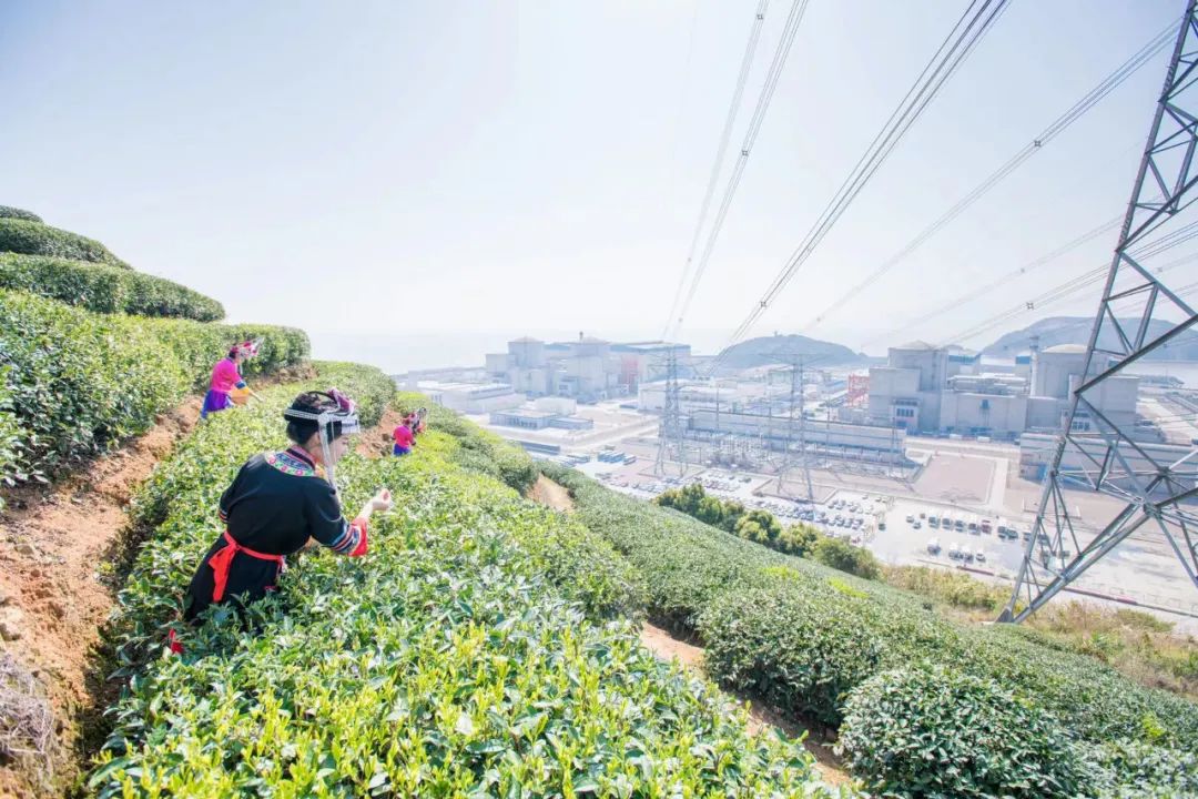 中廣核福建寧德核電基地.jpg