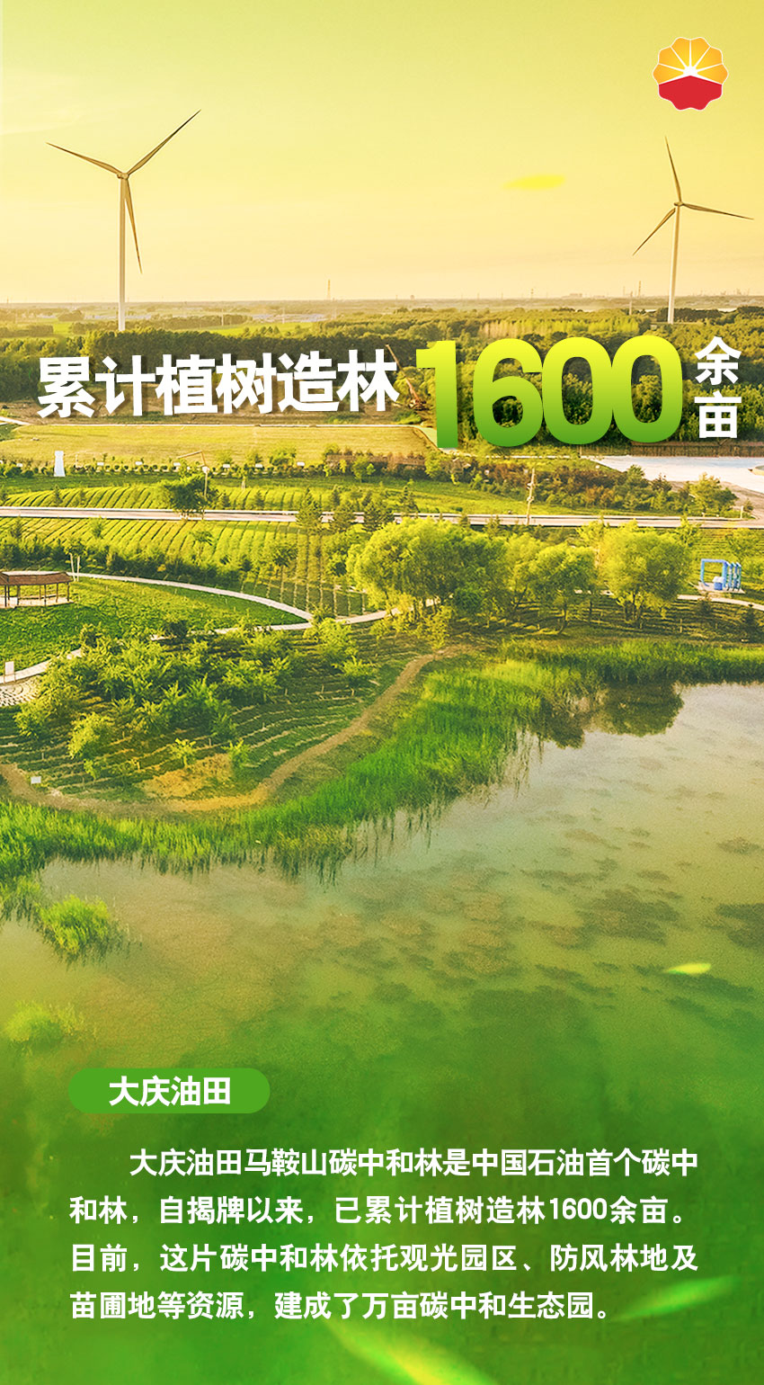 02.大慶油田.jpg