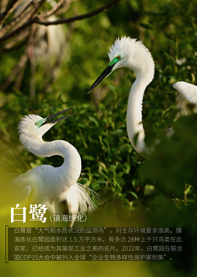 微信圖片_20240531093135 拷貝.jpg