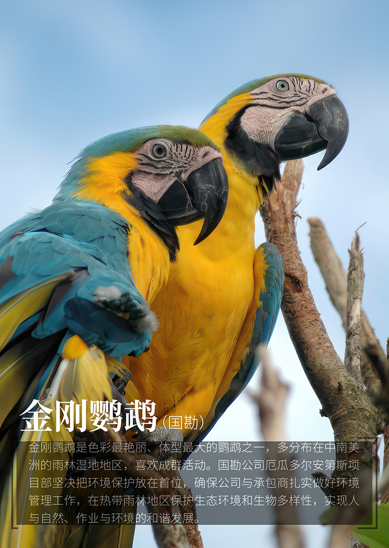 微信圖片_20240531093159.jpg