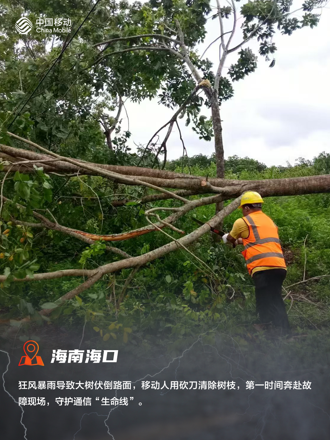 微信圖片_20240911110253.png