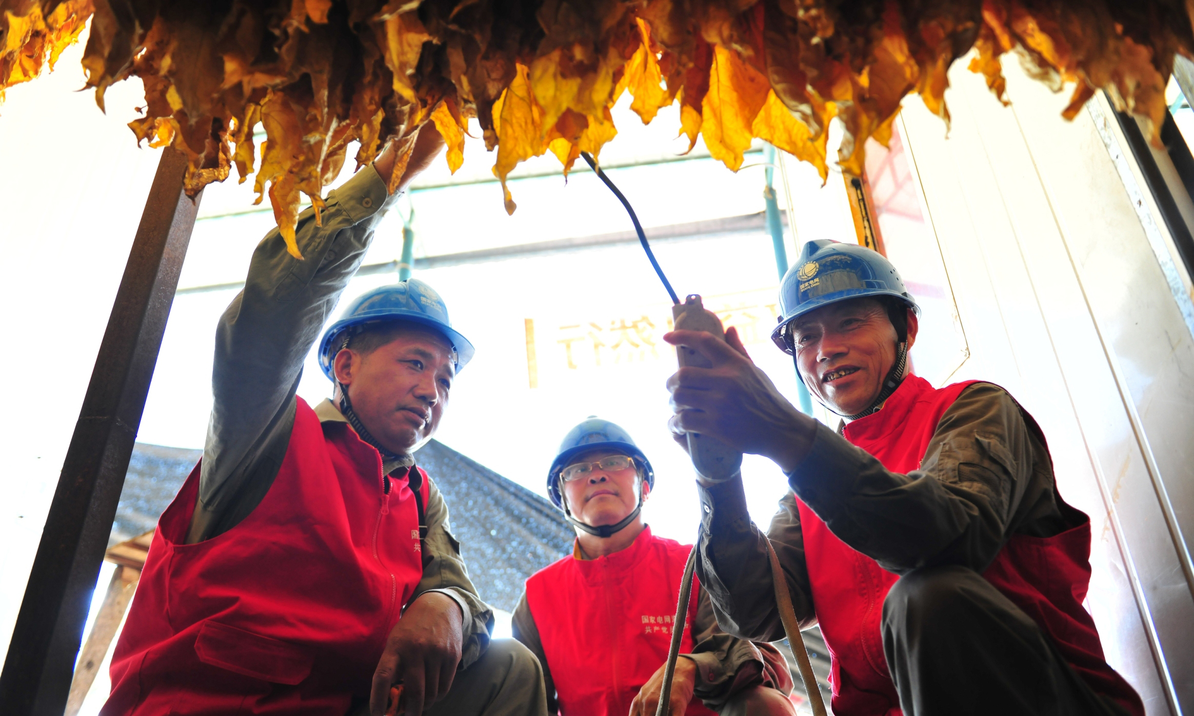 湖北十堰供電公司開展烤煙烘房“煤改電”示范點(diǎn)建設(shè)。