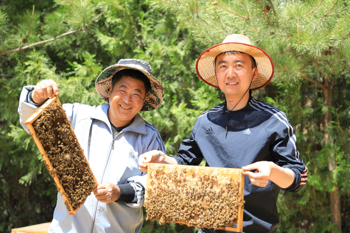 高飛幫助村民銷售了1000多斤蜂蜜。