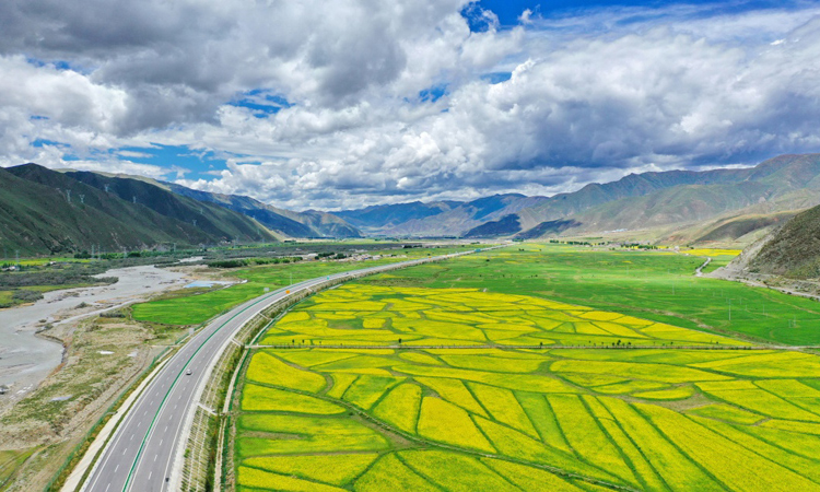 圖為7月16日，無人機(jī)拍攝的拉林公路沿線油菜花和青稞地。（新華社記者 張汝鋒 攝）