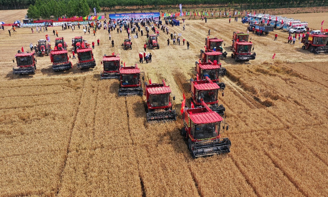 在“機收減損技能大比武”活動現場，十幾臺東方紅小麥聯合收割機在田間緊張作業。工作人員對東方紅小麥聯合收割機收割后的路線分成幾個區塊進行篩選，認真檢驗。此次比武活動考驗了東方紅小麥聯合收割機的減損技術，保證顆粒歸倉。