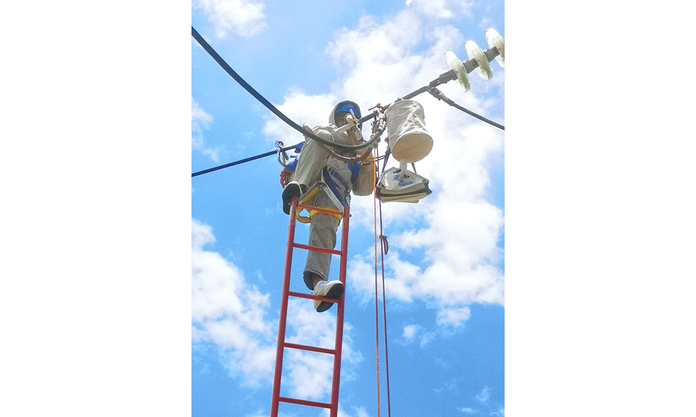 近日，廣東火電組建“迎峰保電”帶電作業突擊隊，對廣東電網重要輸電線路開展帶電檢修巡查工作，作業人員全副武裝，采用多項先進技術和設備開展帶電作業，保證電力設備安全穩定運行。