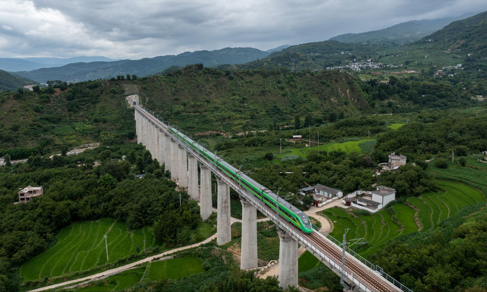 大瑞鐵路全長330公里，橋隧比76.5%，是我國中長期鐵路網規劃中完善路網布局和西部開發重要項目，全線采取大理至保山、保山至瑞麗分段建設模式。大瑞鐵路大保段東起云南大理市，向西經漾濞縣、永平縣，終至保山市，設計時速140公里，線路全長約133公里。大保段鐵路橫穿地質活動斷裂帶，施工異常艱難，大柱山、秀嶺、大坡嶺、杉陽隧道等4座10公里以上的長大隧道更是建設過程中的“攔路虎”，歷時14年大保段施工任務才得以完成。