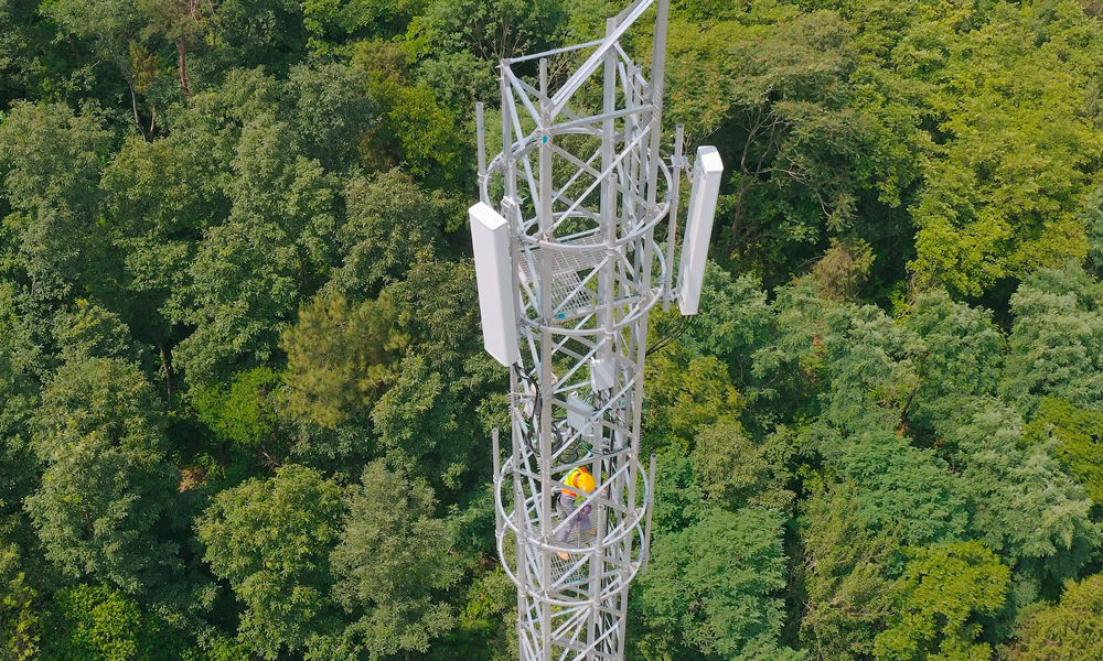 在莽莽森林之間，中國電信裝維人員檢修鄭渝高鐵沿途的5G基站設施。