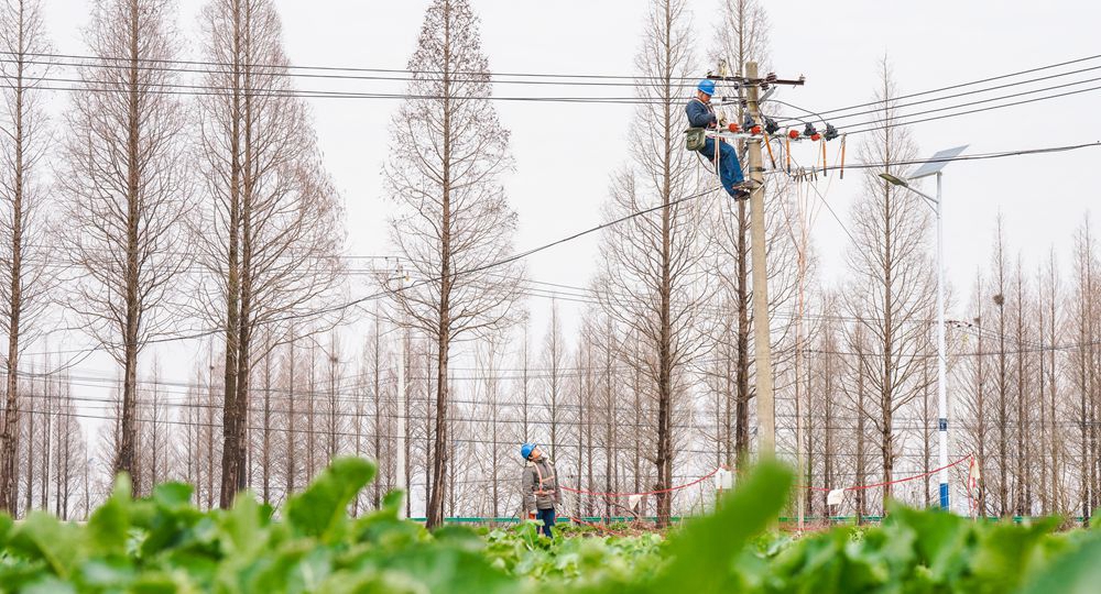 近日，國網安徽合肥巢湖供電公司員工改造10千伏線路。