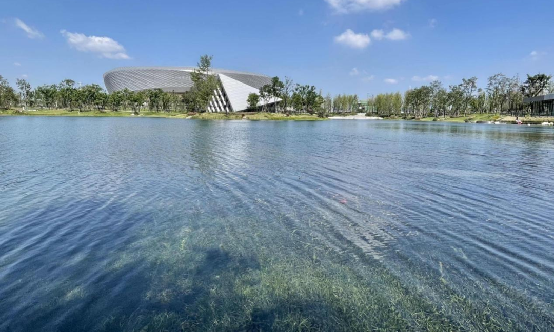 中國啟源所屬中節能建設成都九道堰河流域水生態綜合治理示范段工程項目采用“前置復合型生態濕地+旁路生態塘庫凈化+原位生態河道凈化”設計方案，對18公里河道、11萬平方米生態塘、2萬平方米生態濕地的水生態環境進行綜合治理，使其水環境質量顯著提升。如今，這里的沉水植物生長茂盛，再現水清岸綠、魚翔淺底的美好景象。