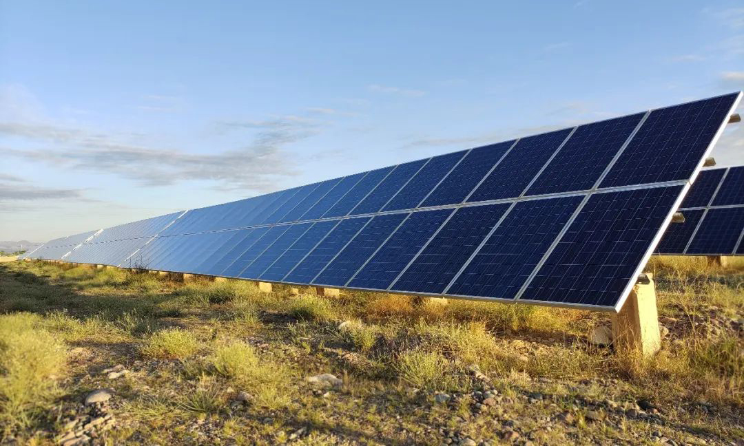 中國節能太陽能公司西北區武威電站位于甘肅省武威市涼州區，是當地光伏治沙的樣板工程，修復植被面積達251萬平方米。項目在光伏板下采用草方格壓沙、種植耐旱植被等方式搭建生態屏障，逐步讓沙海變成綠洲，吸引了野兔、禽鳥等各種野生動物棲息于此，呈現出一派生機盎然之景。