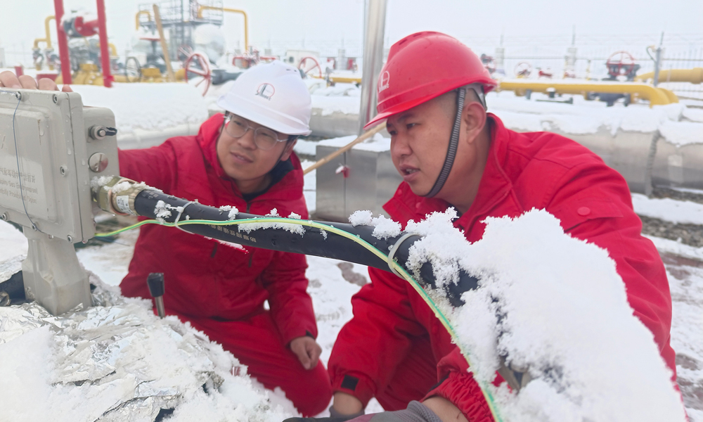 中國石化東北油氣分公司銷售中心員工冒雪查驗計量儀表。