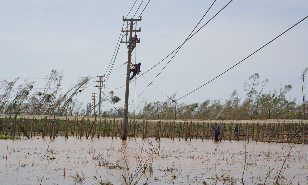 近日，超強臺風“摩羯”先后在海南、廣東登陸，對途徑地區的電網設備造成了嚴重破壞，南方電網在具備搶修條件下第一時間組織開展災后搶修復電，竭盡全力將災害損失降至最低，全力恢復人民群眾生產生活用電。圖為9月8日，南方電網廣東清遠供電局支援湛江隊伍在10千伏線路開展導線修復工作。