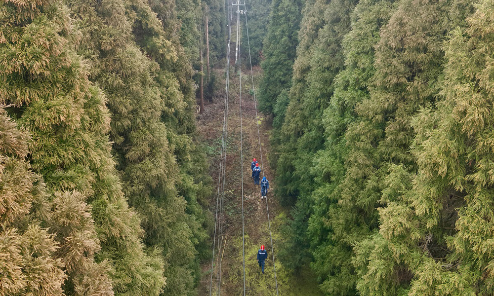 當前進入春季山火高發期，燒荒、踏青、祭祀等野外用火行為增多，山火風險增大。與此同時，田間地頭已是一派繁忙景象——廣西欽州的農戶搶抓晴時翻整土地，云南紅河的馬鈴薯基地機器轟鳴，貴州凱里的萬畝油菜花競相開放……山火對電網安全運行影響大，春耕備耕保供電點多面廣，面對“雙重考驗”，南方電網從監測預警、政企聯動、隱患治理、應急處置等方面制定風險防范舉措，全力護航電網安全，保障春耕春種等民生用電。