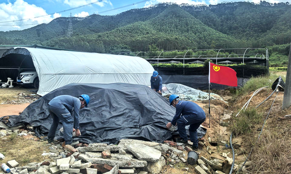 南方電網(wǎng)超高壓公司廣州局肇慶工作站成立青年突擊隊，開展防風防汛特巡，800千伏普僑直流線路附近的飄掛物進行加固。