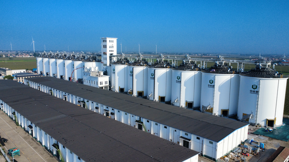 由中國建筑旗下中建八局承建的中央儲備糧焦作直屬庫新建倉項目，位于河南省焦作市，建設糧食淺圓倉13座，單倉倉容1萬噸，總倉容13萬噸，配套建設工作塔、一站式服務中心等附屬設施工程，同步建設科技儲糧及智能化技術應用設施，項目投用后將進一步加強中儲糧與溫縣周邊糧食購銷企業的產銷協作，助力維護區域糧食市場穩定。