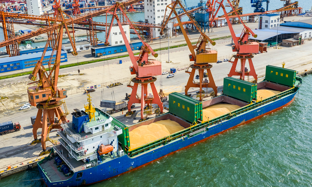 今年以來，營口港糧食吞吐量同比增幅超13%。圖為營口港糧食碼頭作業現場。 