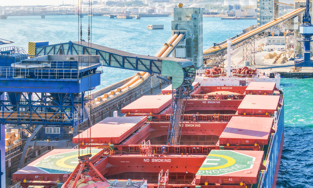 大連港是我國“北糧南運”的主要港口，截至目前，大連港貨物吞吐量同比增幅近40%。圖為大連港散糧碼頭作業現場。 