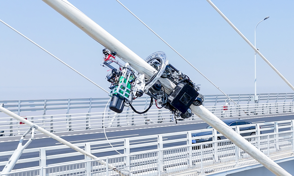 圖為“機(jī)械壁虎”纜索橋梁智能修復(fù)機(jī)器人，是招商局集團(tuán)旗下招商交科推動科技成果轉(zhuǎn)化的成果。該機(jī)器人搭載護(hù)套修復(fù)裝置與高清視覺系統(tǒng)，數(shù)據(jù)實時回傳，創(chuàng)新性采用“地面操控、云端施工”模式，實現(xiàn)檢測、修復(fù)與數(shù)據(jù)管理的一體化閉環(huán)，為橋梁拉索智能養(yǎng)護(hù)提供全流程解決方案。