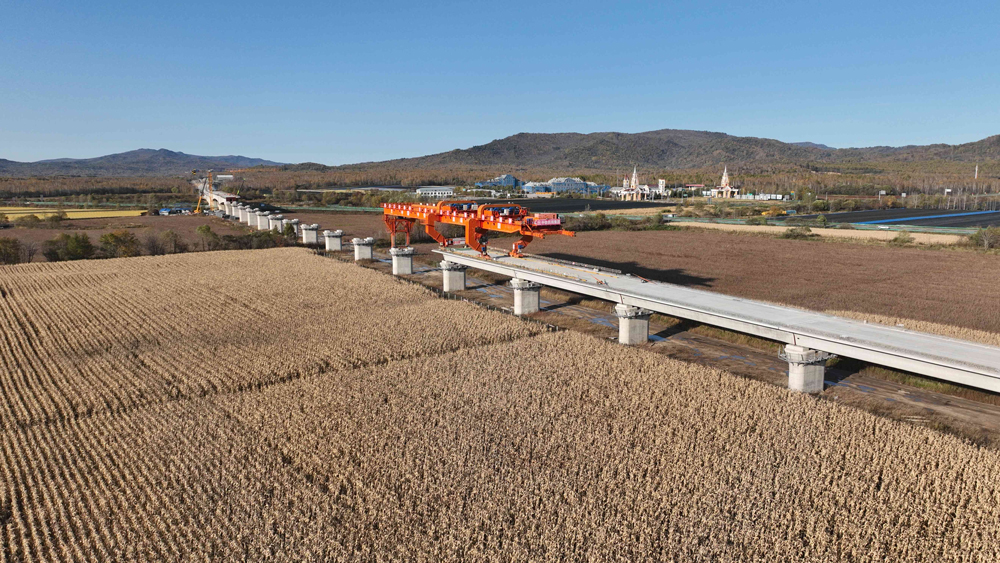 哈伊高鐵是我國“八縱八橫”高鐵網(wǎng)京哈—京港澳通道的重要延伸，也是在建緯度最高、全年溫差最大，且首條穿越多年島狀凍土區(qū)的高速鐵路。針對穿越多年凍土區(qū)問題，項(xiàng)目團(tuán)隊(duì)采用挖除換填+預(yù)融、熱棒+保溫板等處理措施，并開展長期現(xiàn)場監(jiān)測，為類似地區(qū)高鐵建設(shè)積累了技術(shù)數(shù)據(jù)。