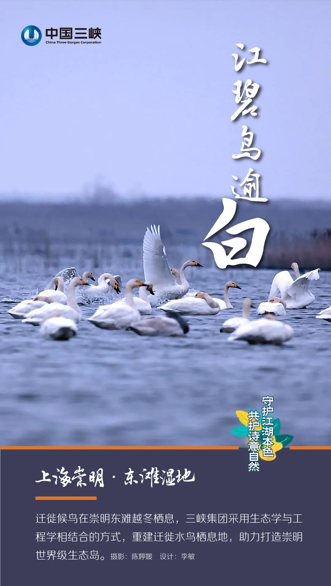 圖片11.png