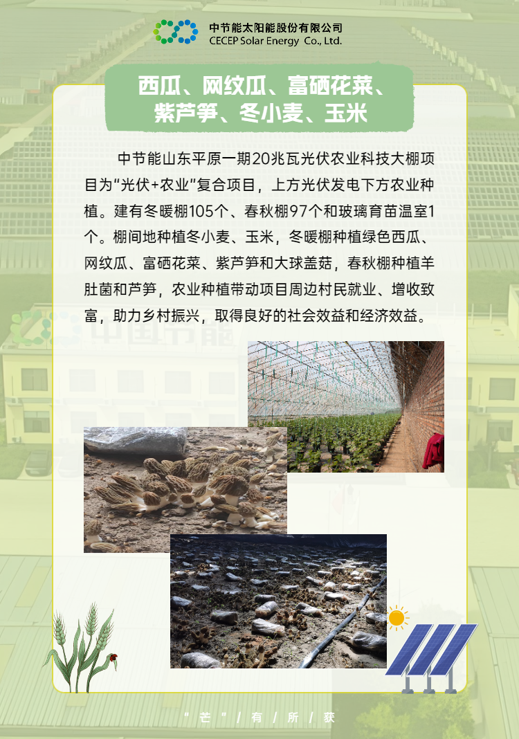中國節(jié)能助力鄉(xiāng)村振興 (4).png