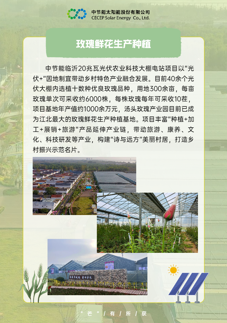 中國節(jié)能助力鄉(xiāng)村振興 (5).png