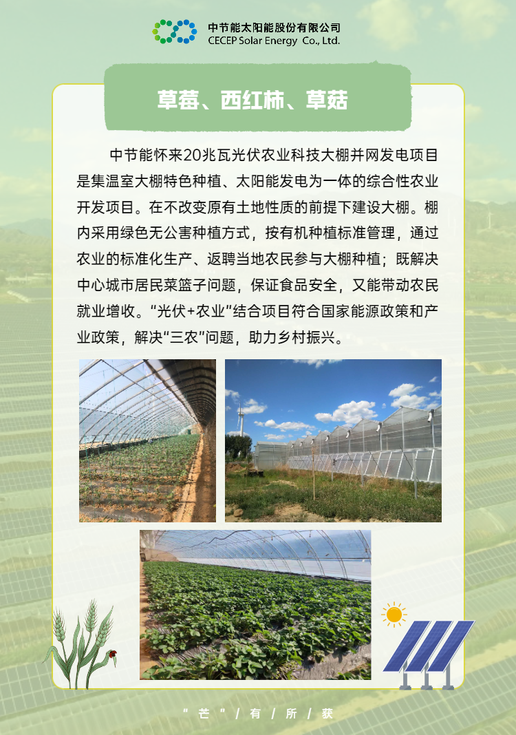 中國節(jié)能助力鄉(xiāng)村振興 (6).png
