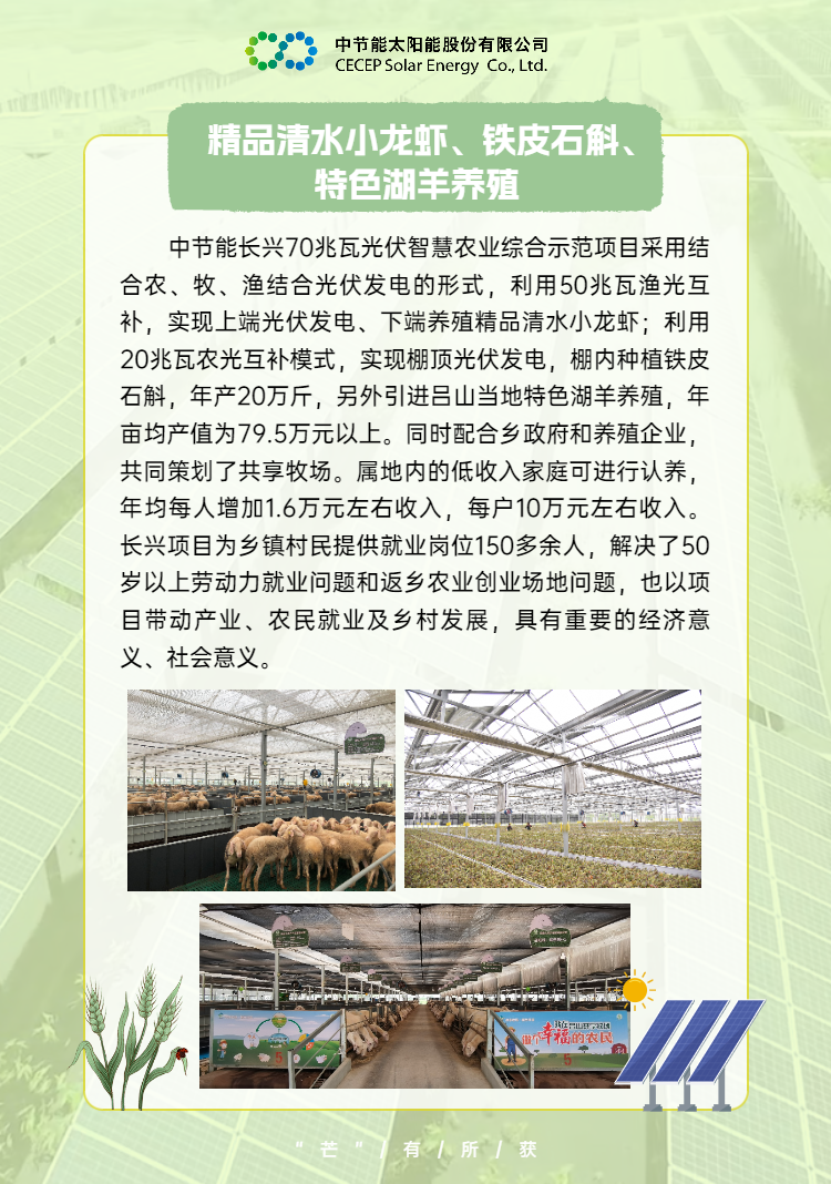 中國節(jié)能助力鄉(xiāng)村振興 (7).png