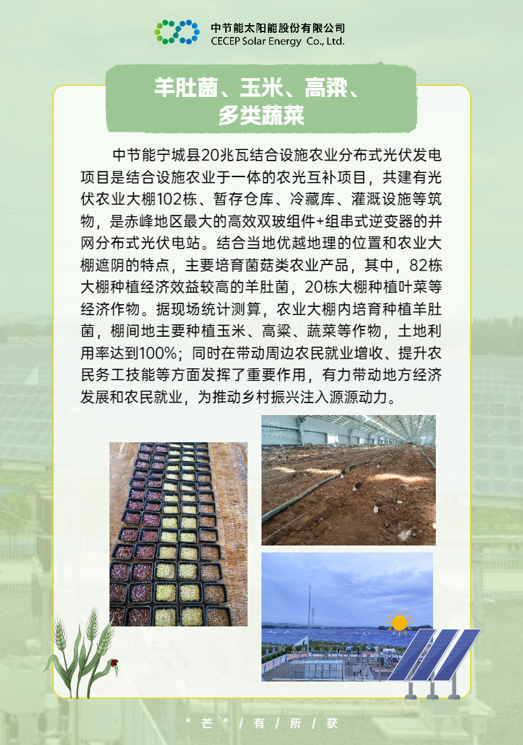 中國節(jié)能助力鄉(xiāng)村振興 (8).png