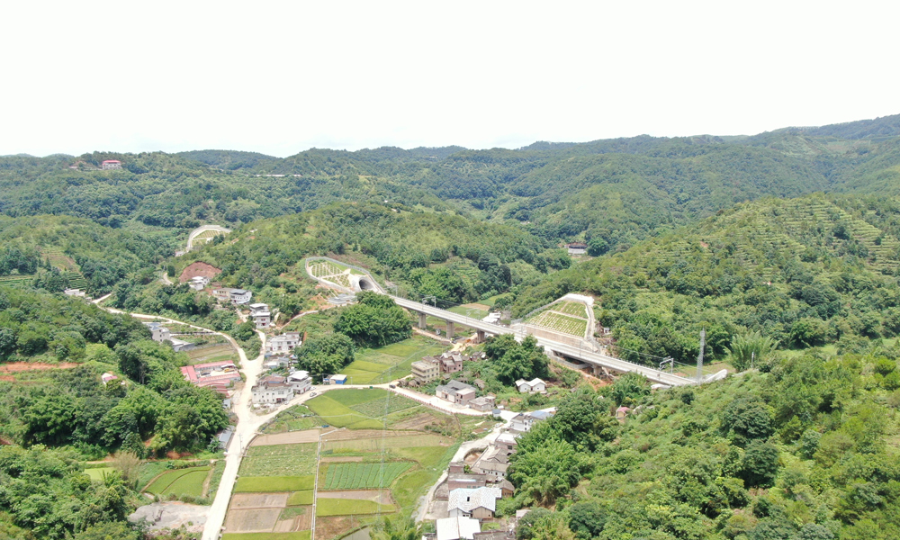 龍龍高鐵梅龍段位于廣東省東部，正線全長約93.98公里，設計行車時速350公里，途經(jīng)梅州、河源等城市，全線設梅州西、興寧南、五華、龍川西4個車站。項目通車后，梅州到廣州、深圳等粵港澳大灣區(qū)中心城市通行時間將縮短至1.5小時左右。圖為龍龍高鐵梅龍段苦竹山1號隧道。