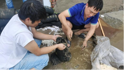 中煤地質總局：支部挺起來 黨員站出來 風雨中構筑防汛抗災堤壩0806(1)(1)1019.png