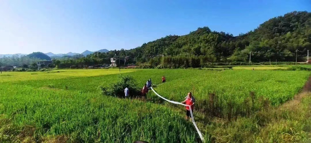 圖片1.jpg