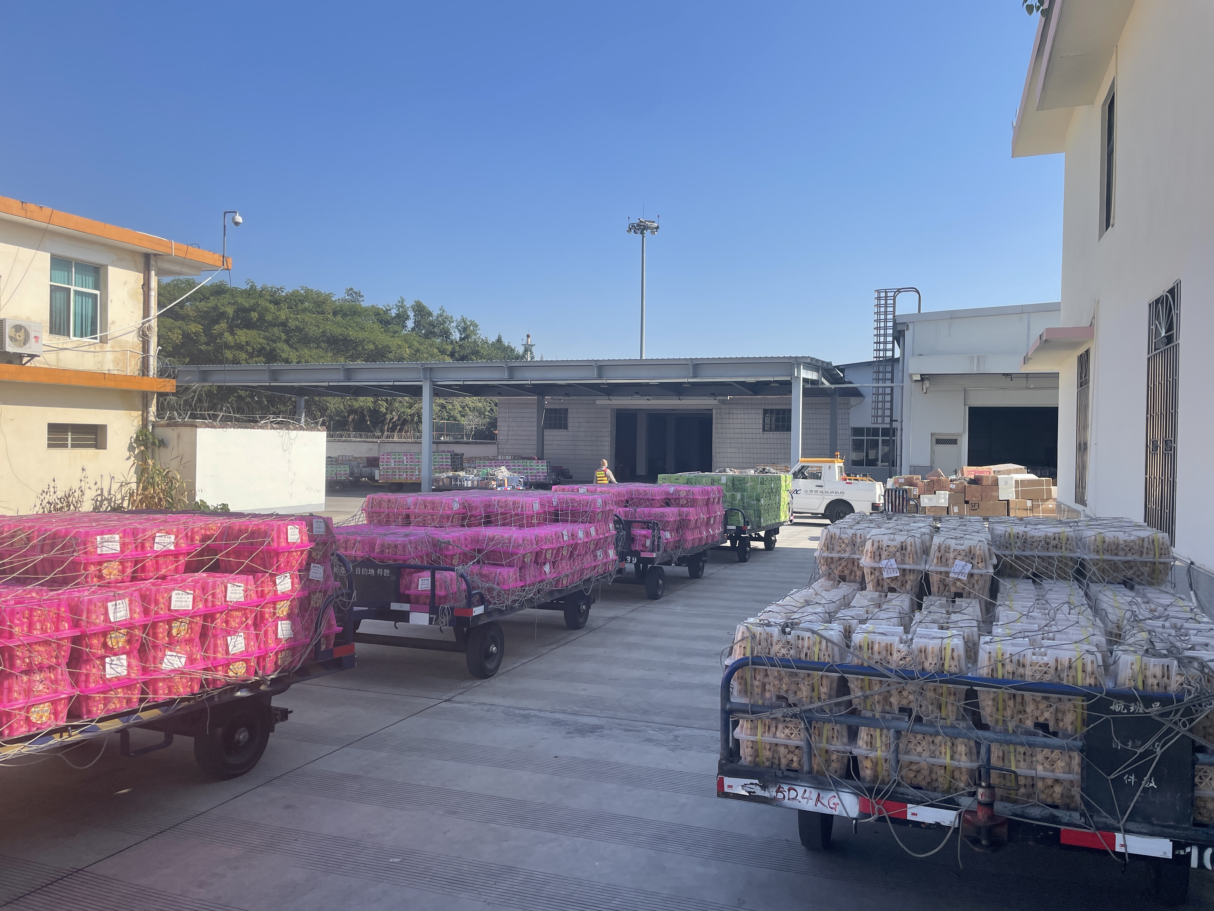 版納機場日貨郵吞吐量創歷史新高.jpg