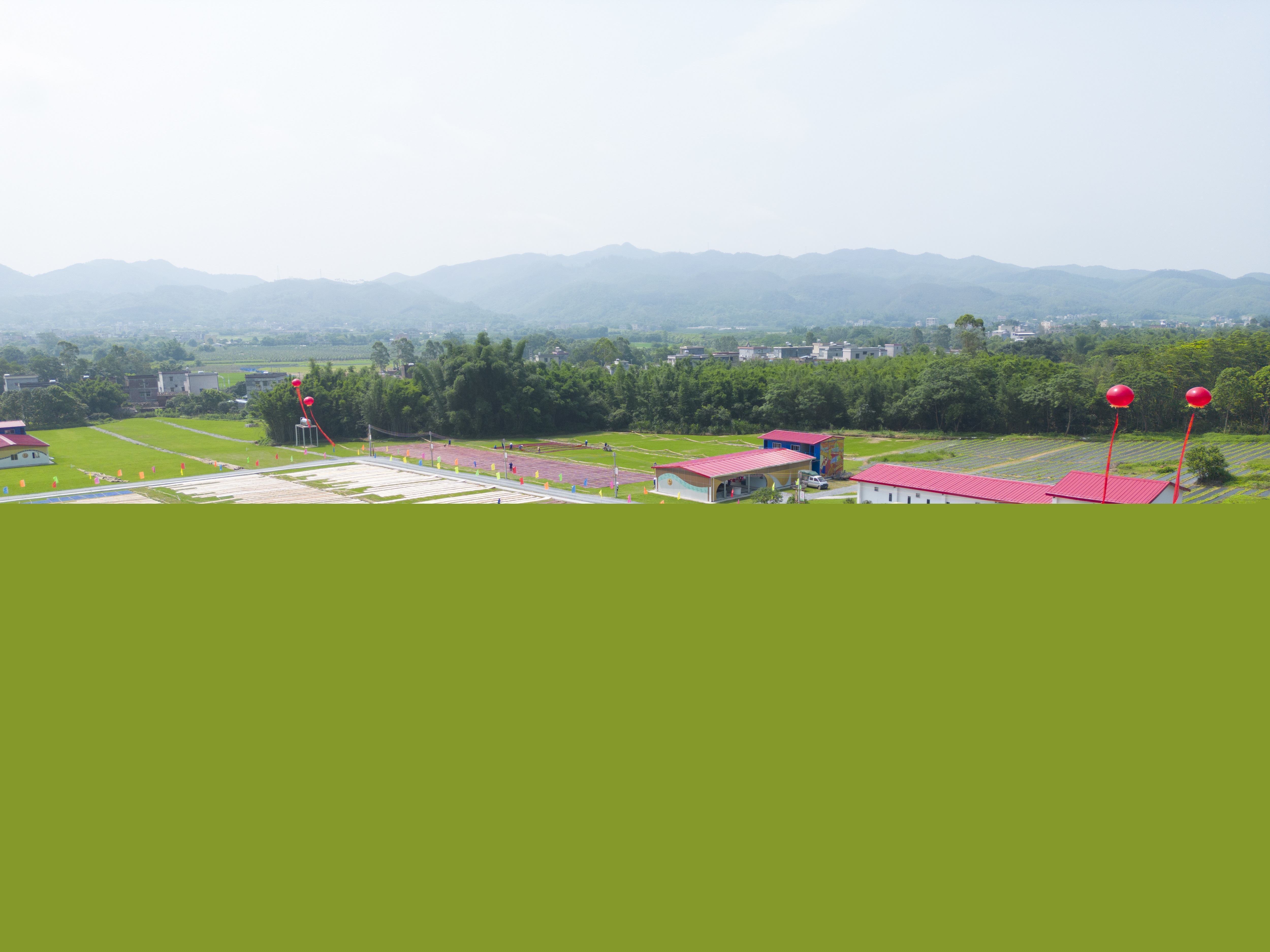 4.廣新集團打造的蠶桑香云紗產業生態示范園.jpg