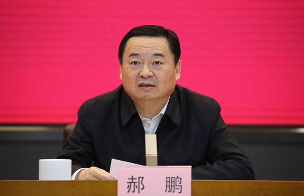郝鵬、國資、央企、國資委、書記、主任、國企、企業改革